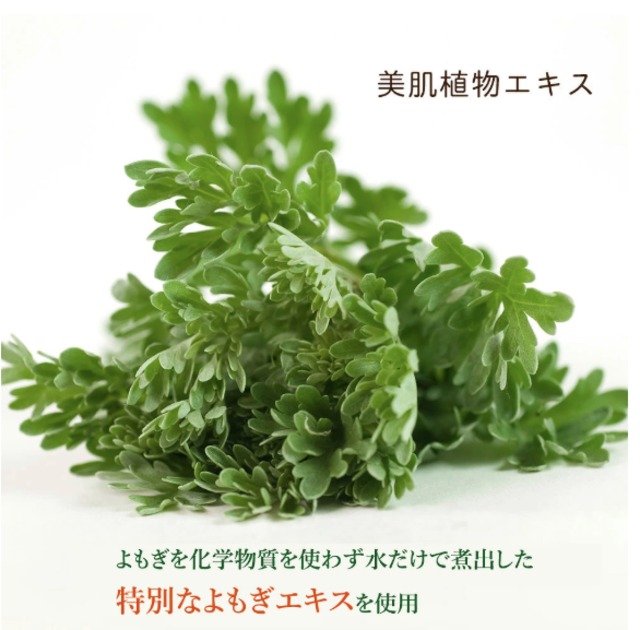 よもぎエキス化粧水 100ml×2本セット  自然派スキンケア・植物由来成分・送料無料