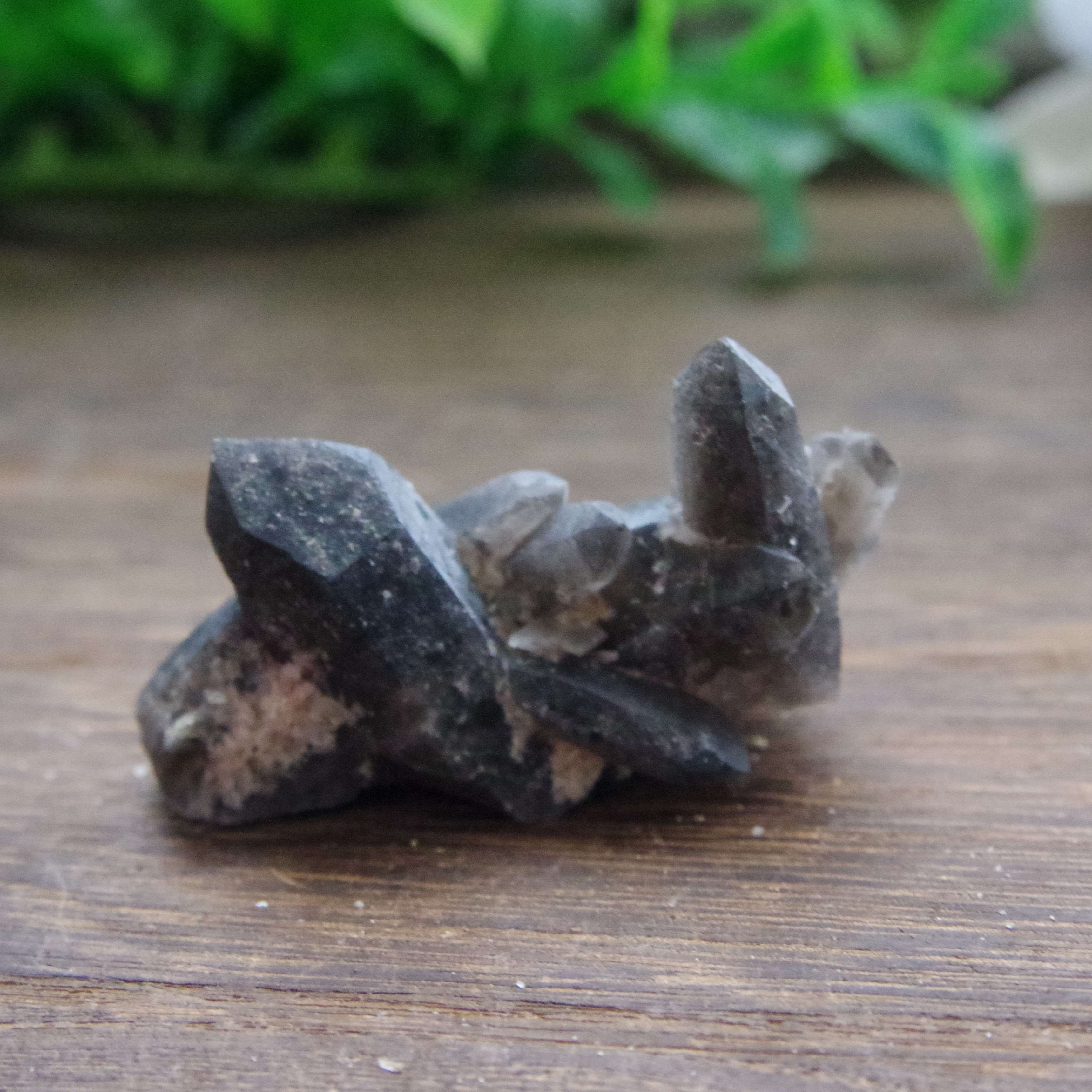 モリオン クラスター 原石 山東省産 一点もの（GM013） | 石と羽の