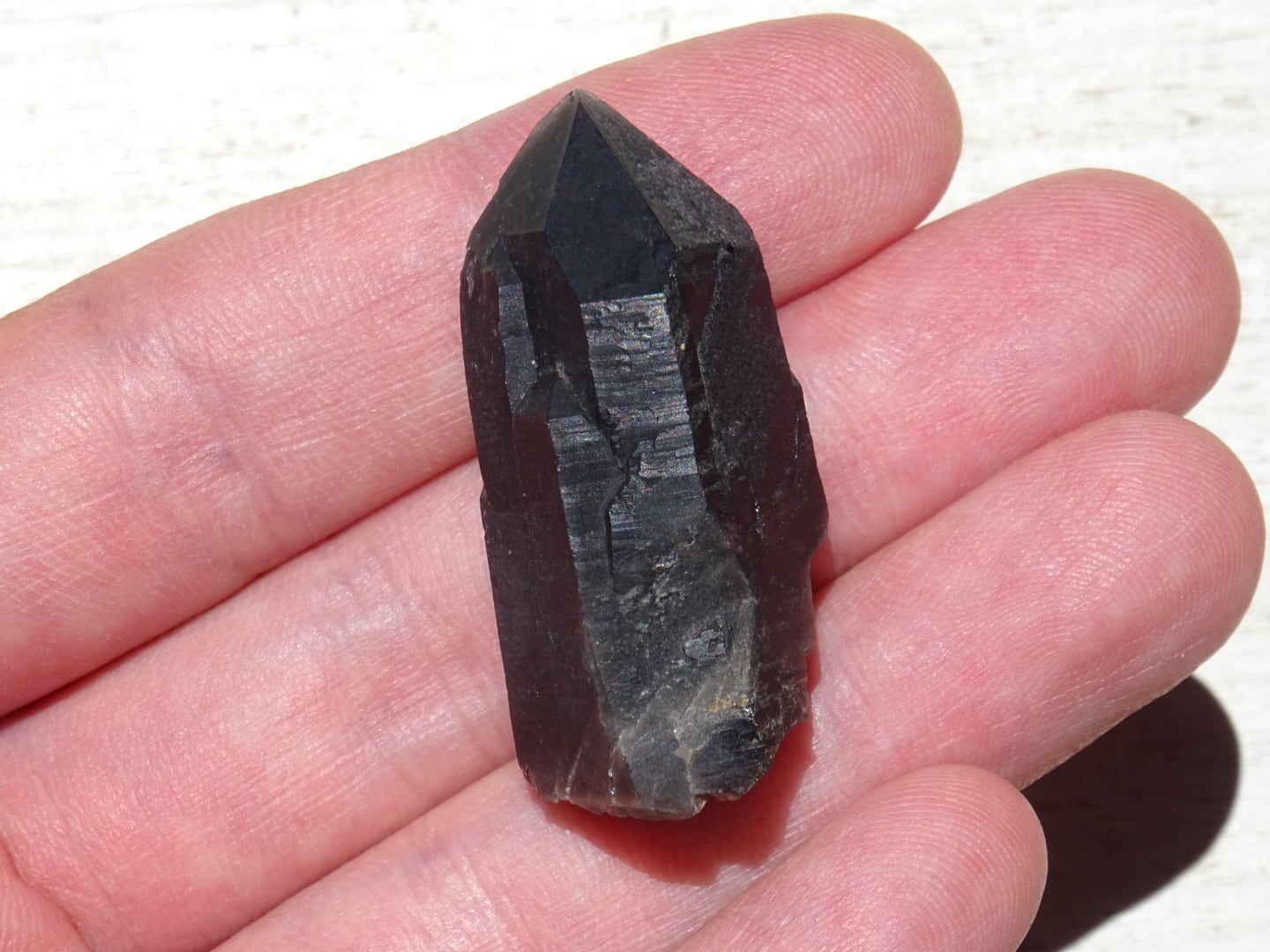 福建省モリオン