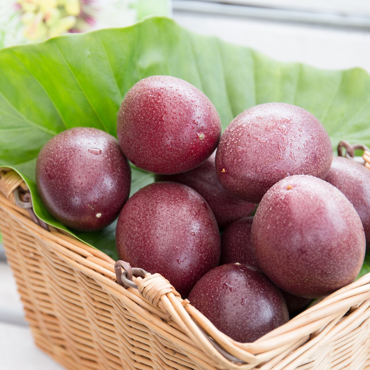 奄美パッションフルーツ【訳ありシワ多め5k】panpanpanda 奄美産パッションフルーツ 3.5KG 色むら傷あり④ - メルカリ