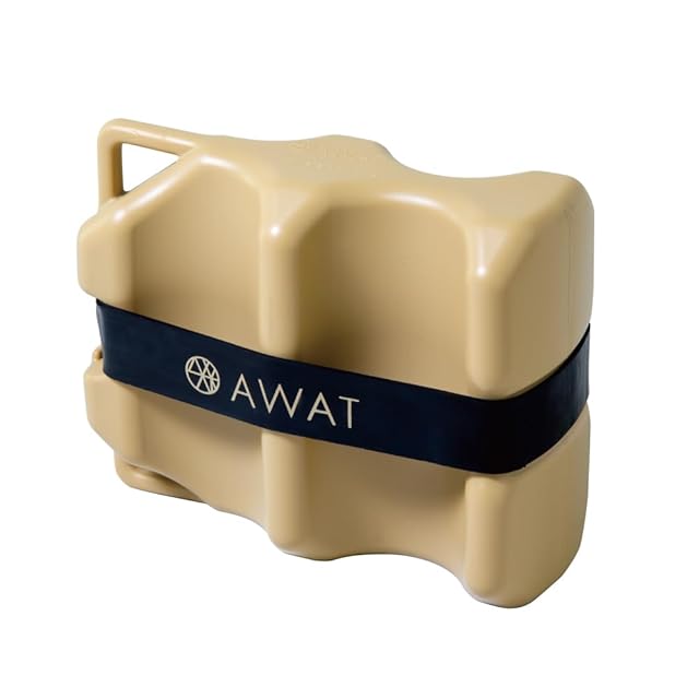 国内未発売 コールマン Coleman COMFORT MASTER コンフォートマスター