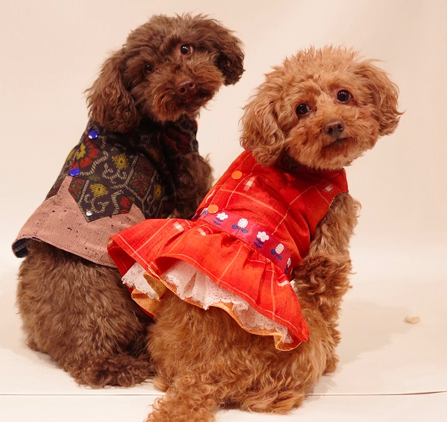 わんこ服小型犬用XS "赤とオレンジのリバーシブル絹服”D-1