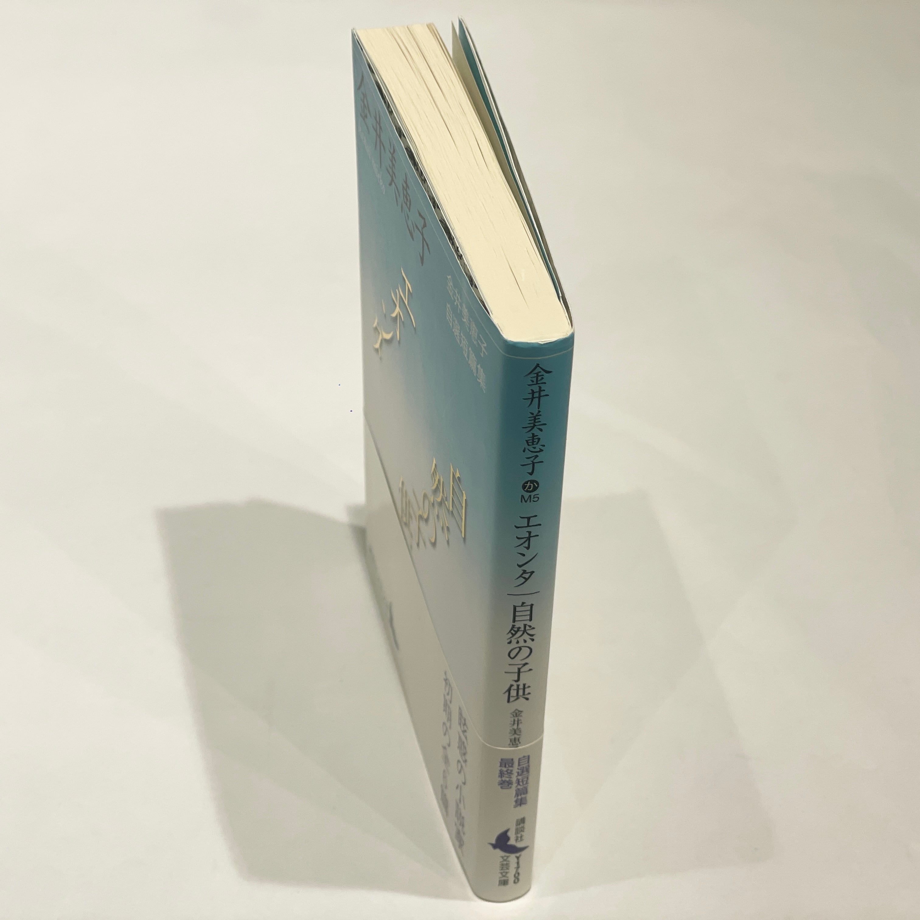 エオンタ・自然の子ども 金井美恵子自選短篇集【古本】 | 七月堂古書部