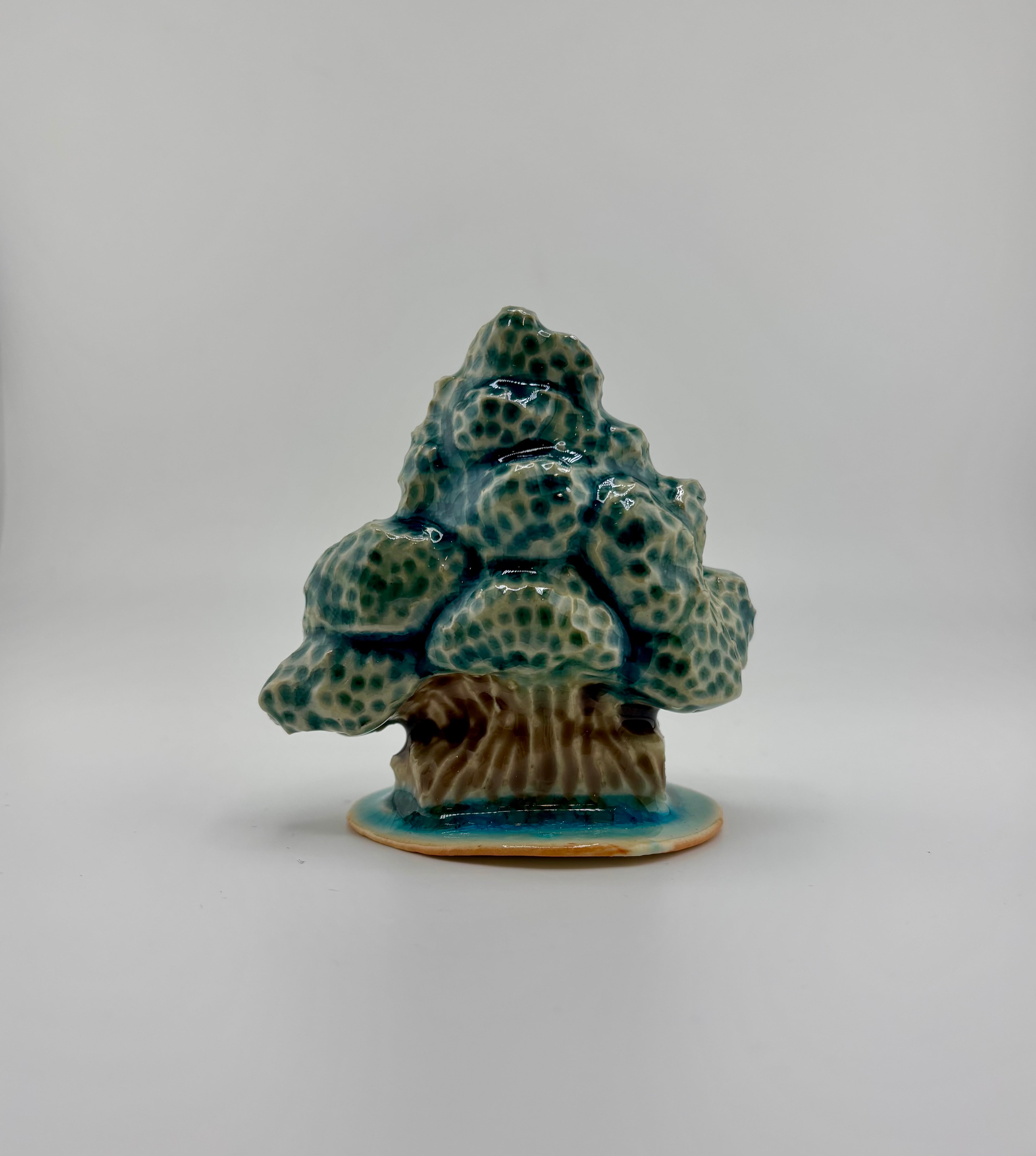 陶器 置物 陶器の盆栽 直幹・鉢 陶芸家 ニシクミ@2493_nishikumi【2025.12