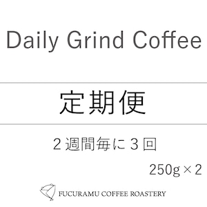 【定期便3回/2週間毎】選べる! Daily Grind Coffee 250g×2個セット