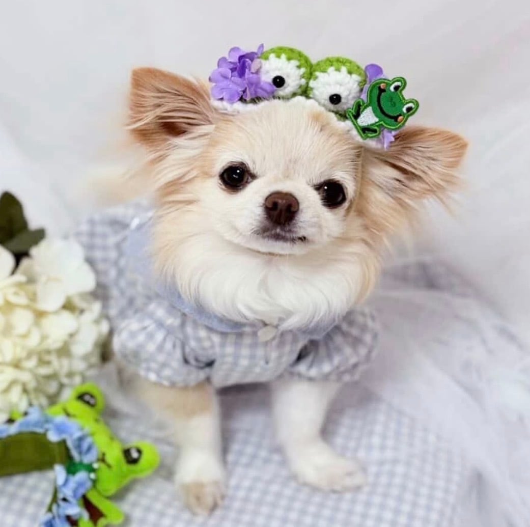 紫陽花カエルさんカチューシャ