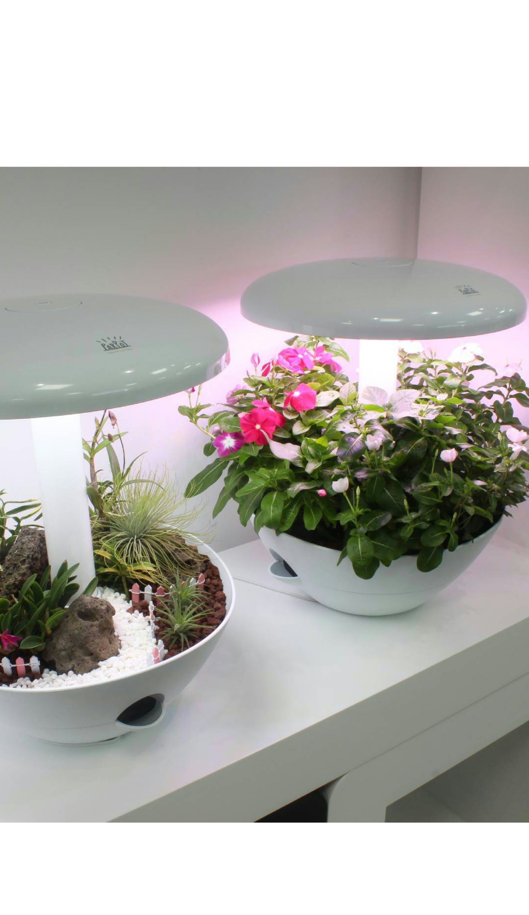 LED付き植物栽培ポット LED付き植物栽培ポット