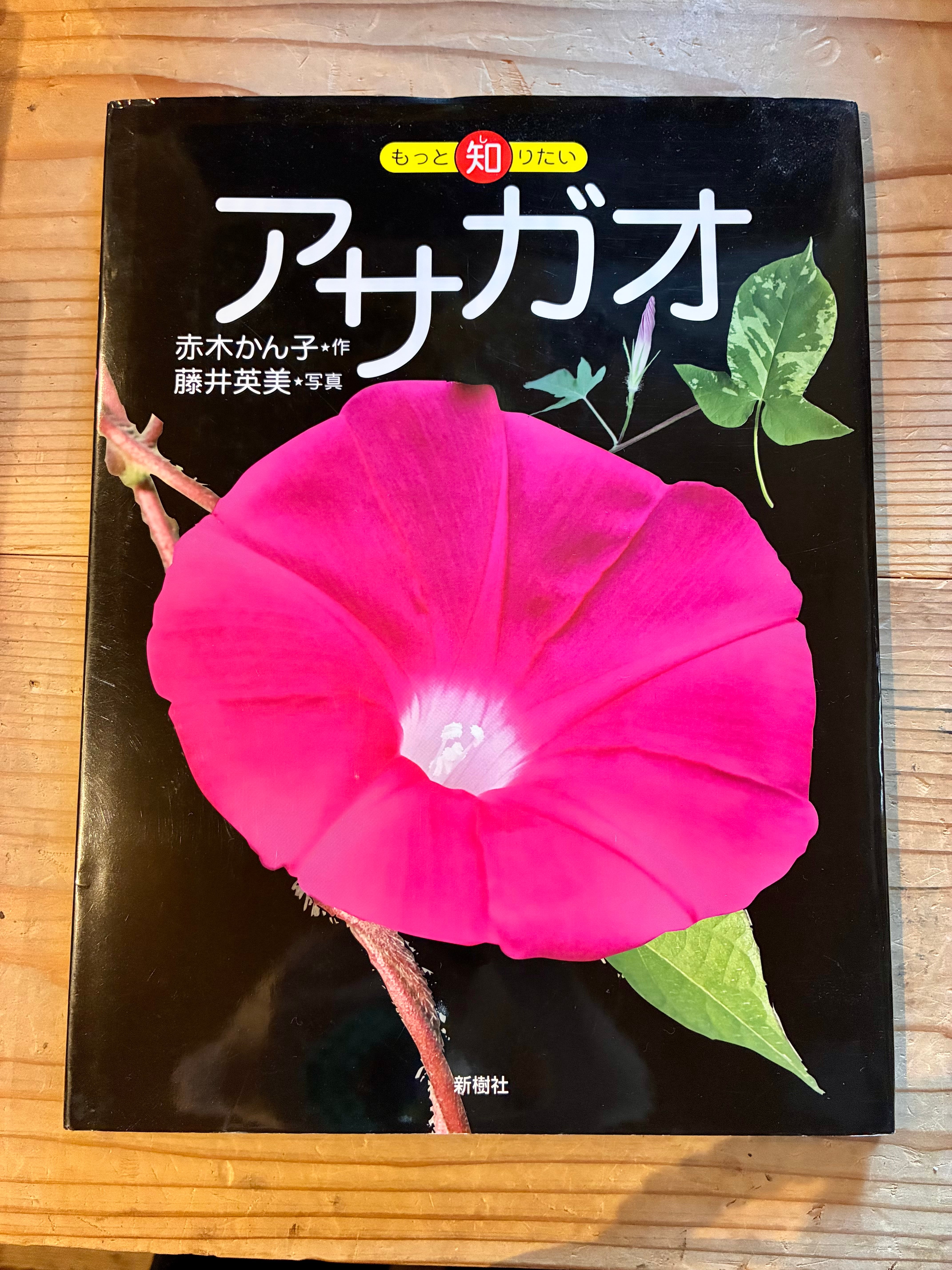古本】もっと知りたい アサガオ | ホホホ座 西田辺 絵本・新刊本・古本