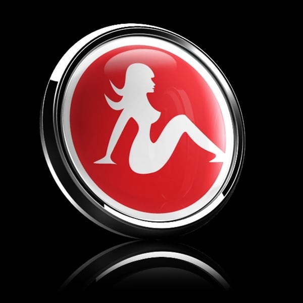 ゴーバッジ(ドーム)（CD0545 - Z HOT 101） - 画像2