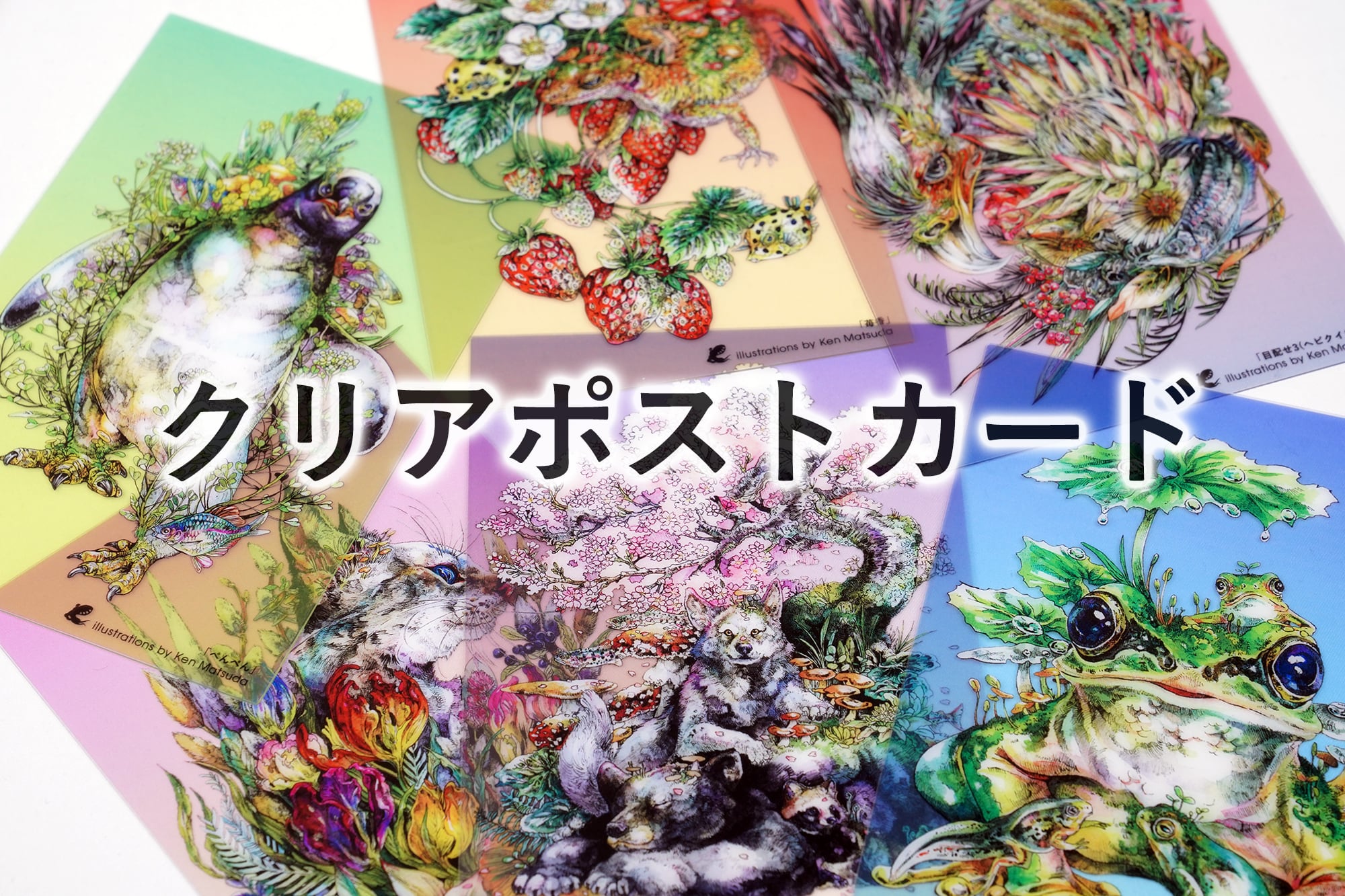 KEN MATSUDA ONLINE STORE