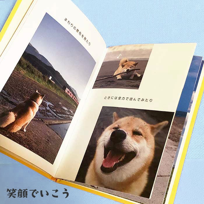 柴犬まるのメッセージブック(封筒付き) | MARUTARO SHOP