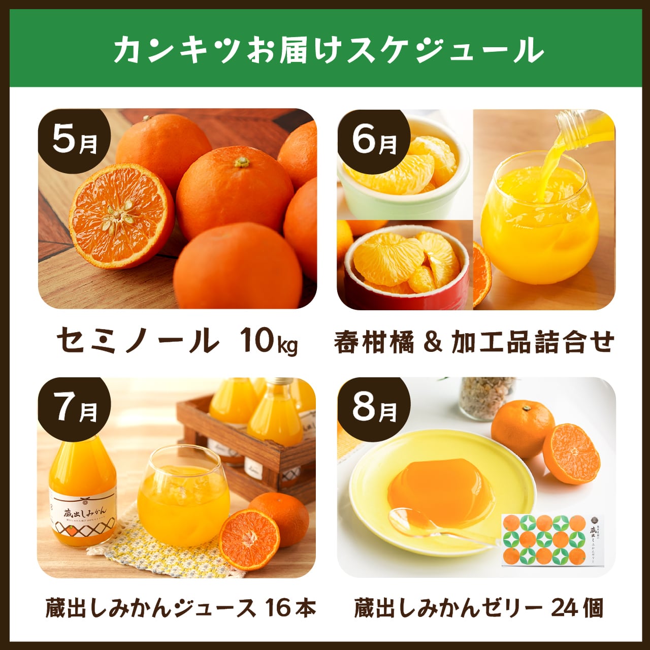 みかん・カンキツ定期便10kg｜和歌山県海南市下津町の藤原農園から旬の