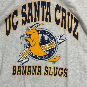 90s〜00s UC SANTA CRUZ BANANA SLUGS