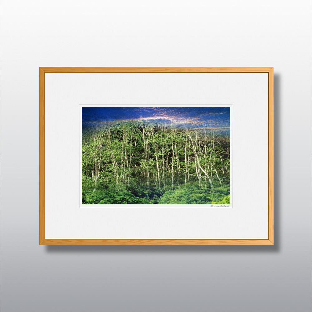 森の扉 #14 ■額縁サイズ(太子)378㎜×288㎜