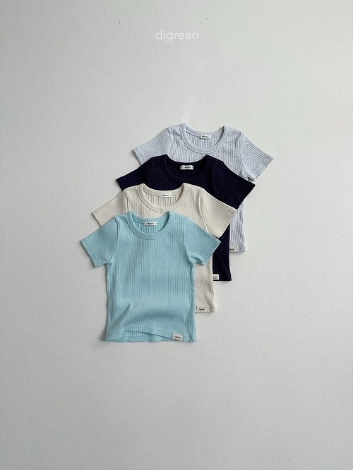 digreen26su_Matthew Tee