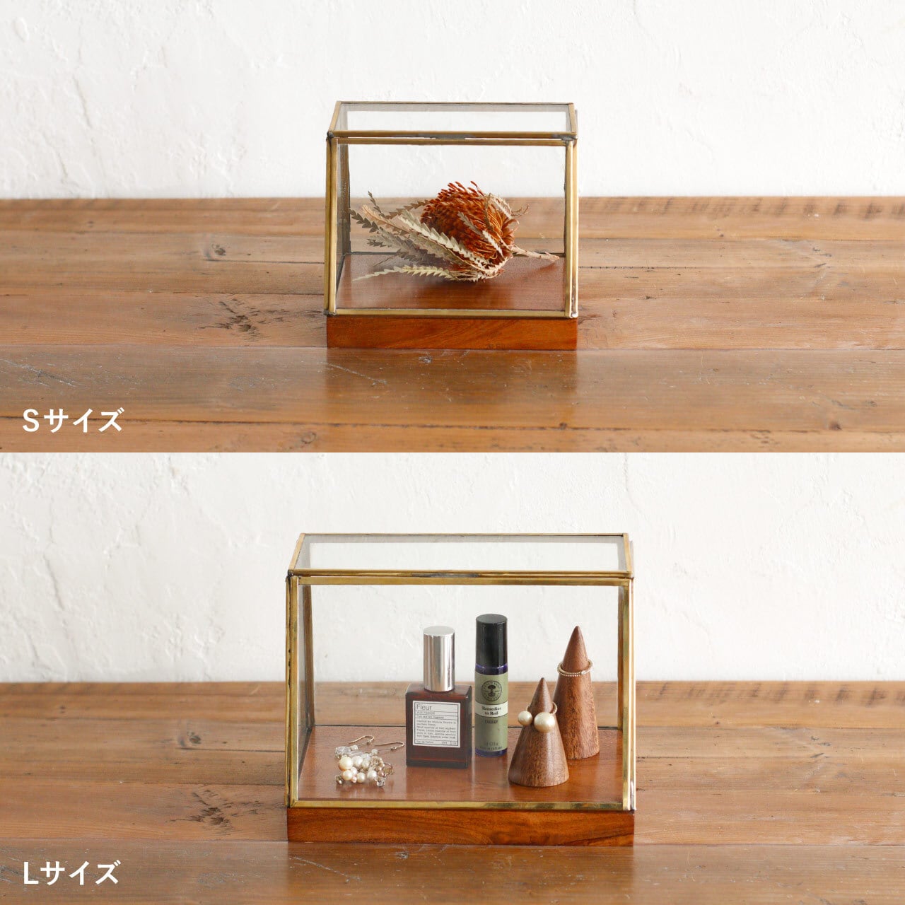 alten ブラスショーケース（S） | Zakka so-la