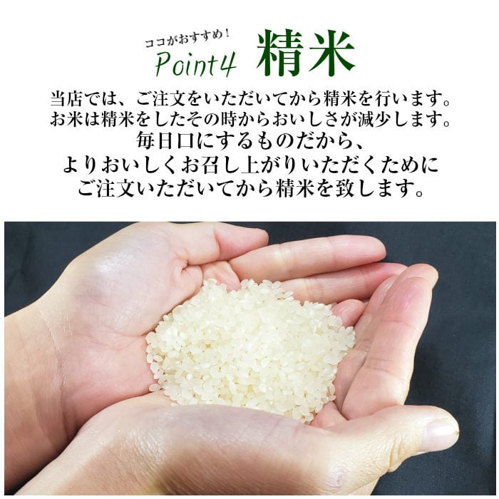 令和６年産コシヒカリ精米１０キロ(送料無料) 令和7年産】コシヒカリ10㎏（5㎏×2袋） 選べる“精米or無洗米” - 山形県