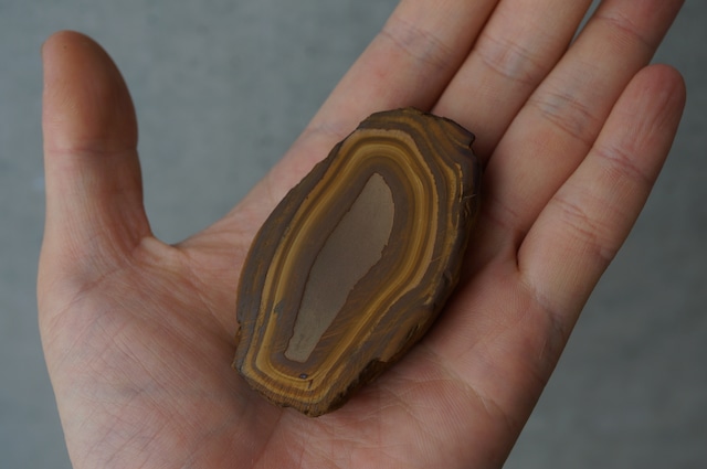モロッコ産ストロマトライト Stromatolite 2212