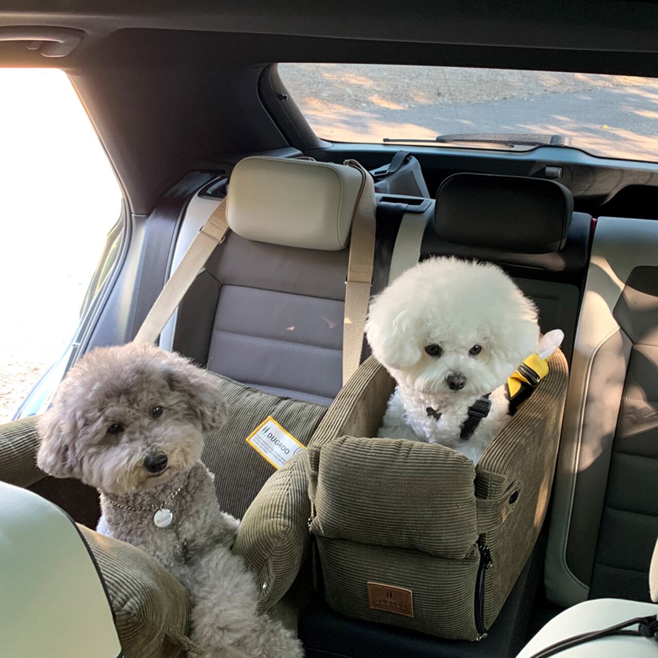 Console Box Dog Car Seat XL-Slim【Olive】/ Dugroo / 日本未入荷
