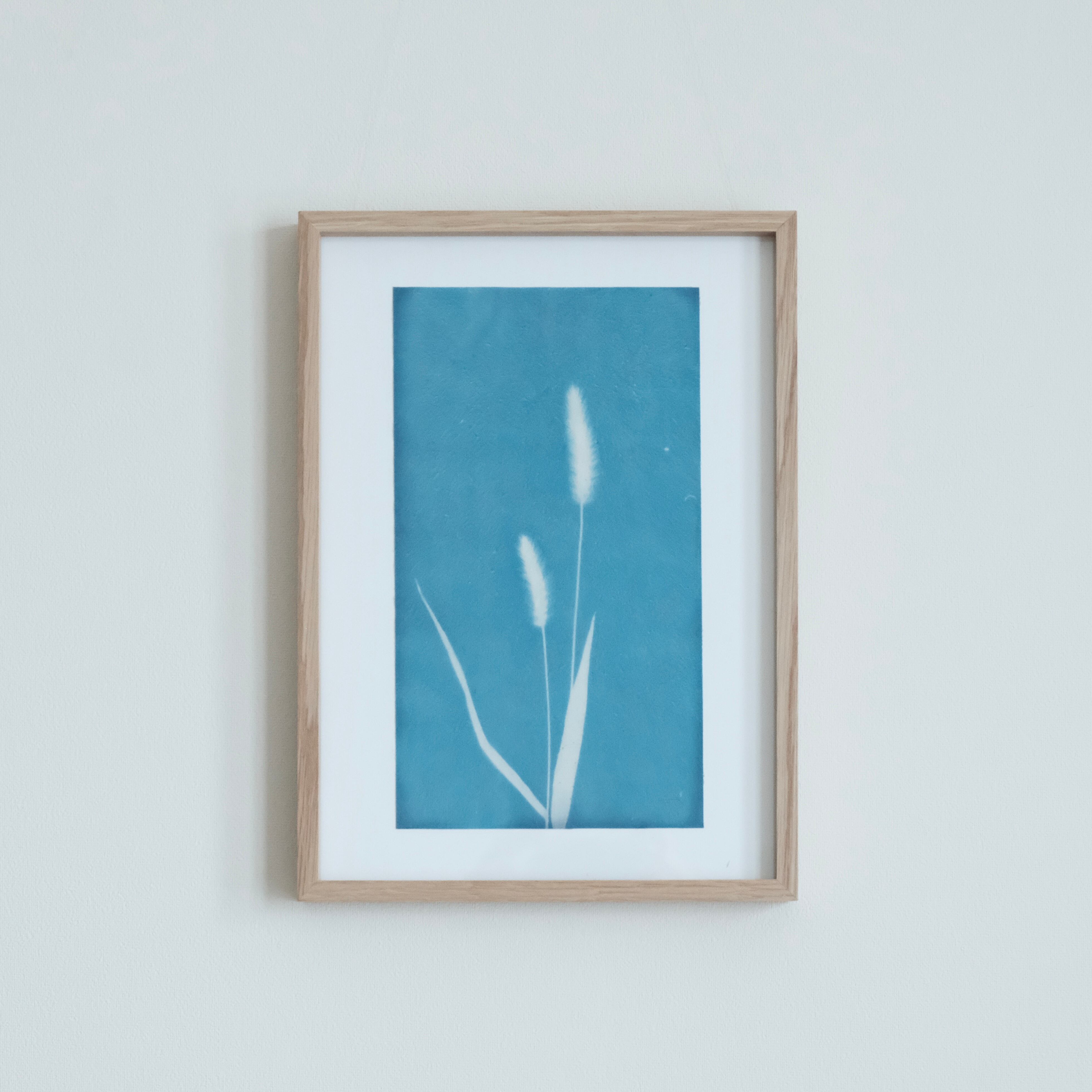 植物の青写真　cyanotype #5