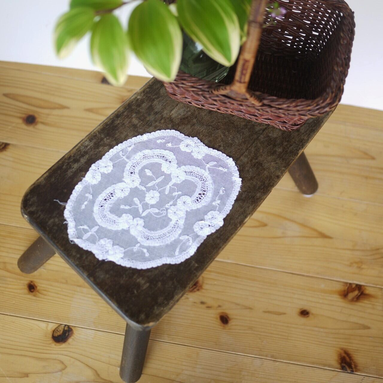 チュールドイリー プリンセスレース ドイツ