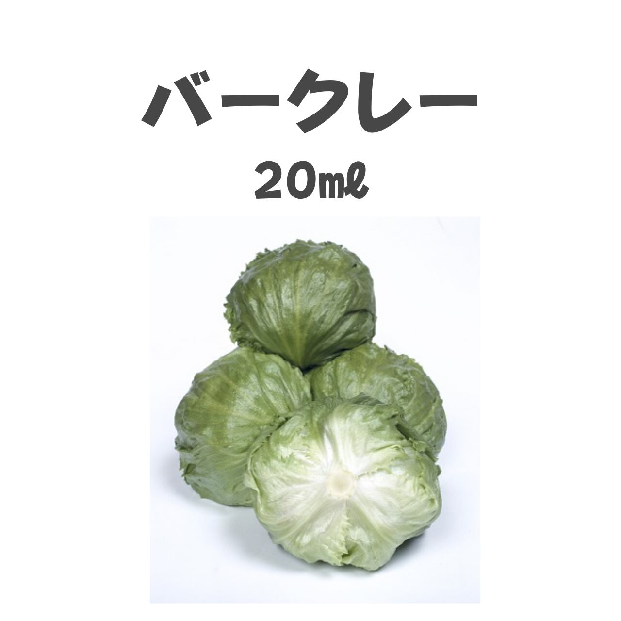 バークレー レタス種子・20ml