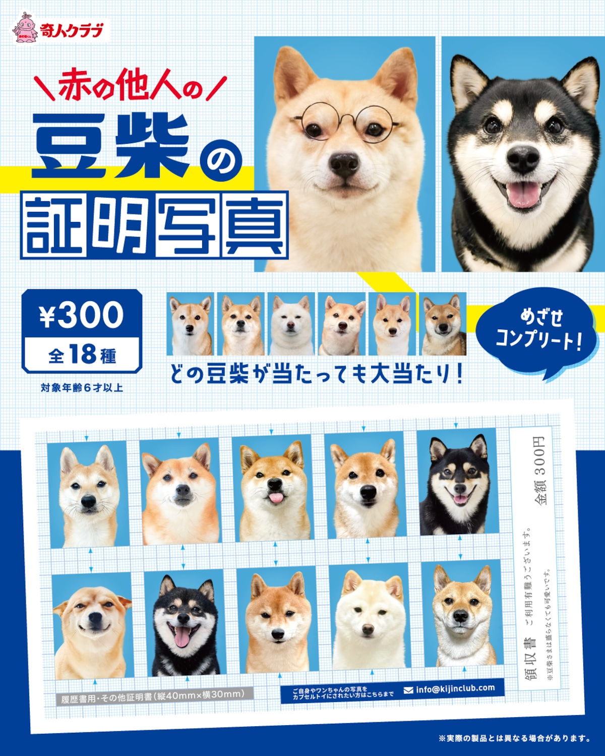 豆柴助様 ご確認用 専用ページ 465e32f3308630826ea54bc0bbcbdd