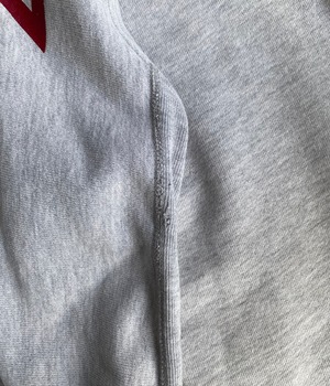 Vintage 90s champion reverse weave hoodie -Santa cruz-