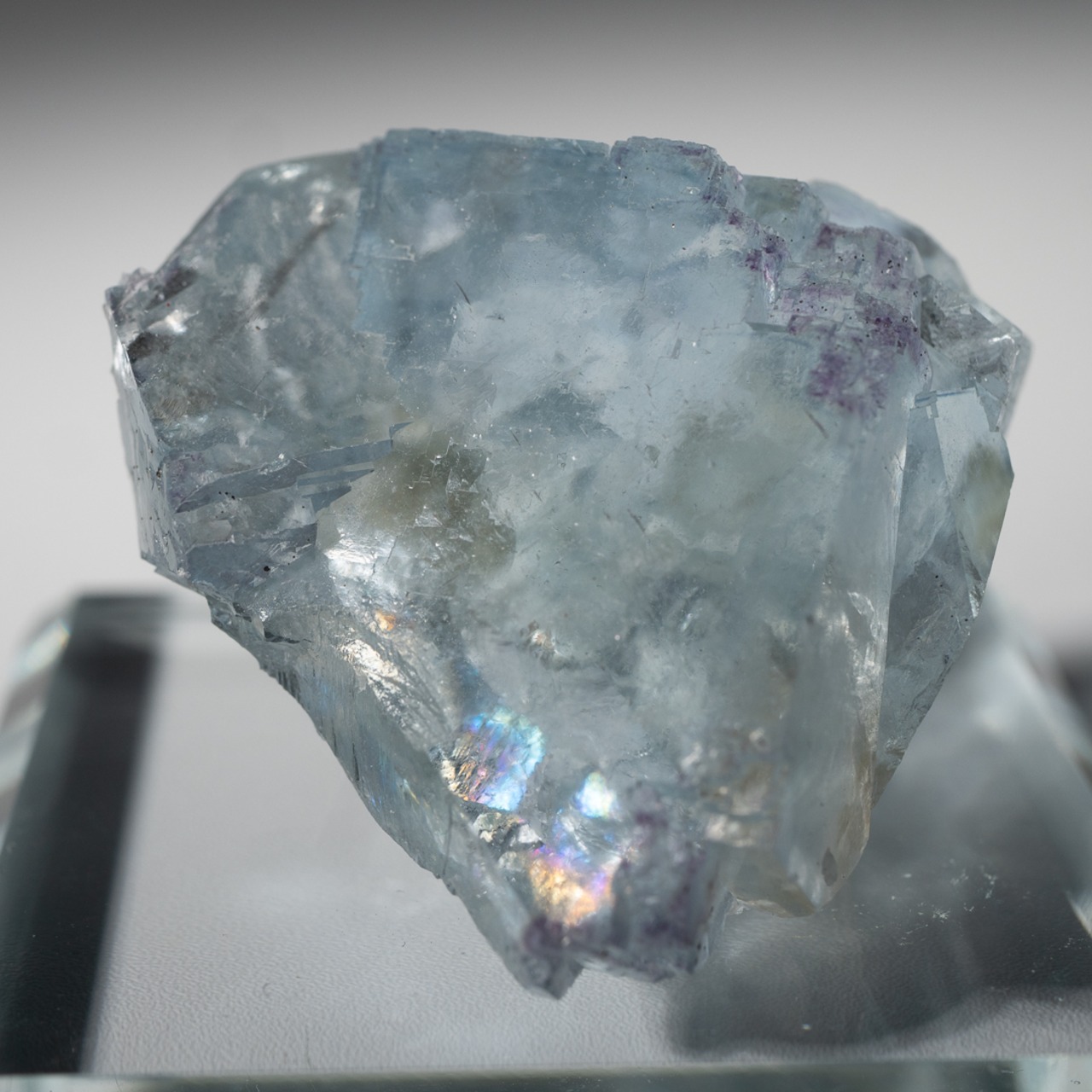 シャンファーリン産 フローライト / 原石 標本