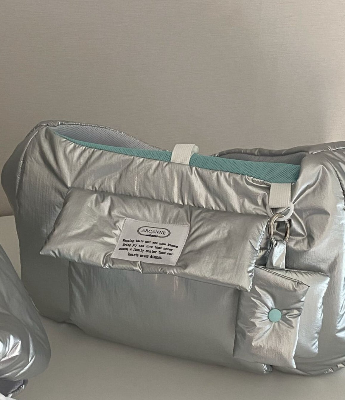 予約【ARCANNE】Canne bag《Silver×Mint / 2size対応》 | haneulpet