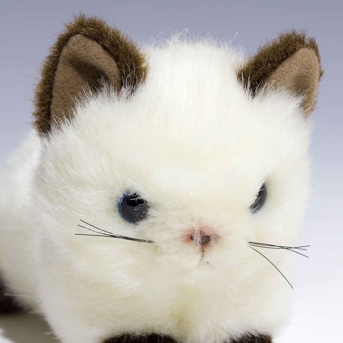 プリモ　日本製　シャムネコ　ぬいぐるみ　中古品 たけのこ プチどりーむ ミニ A シャムネコ ぬいぐるみ 95029 | geisha Cat*