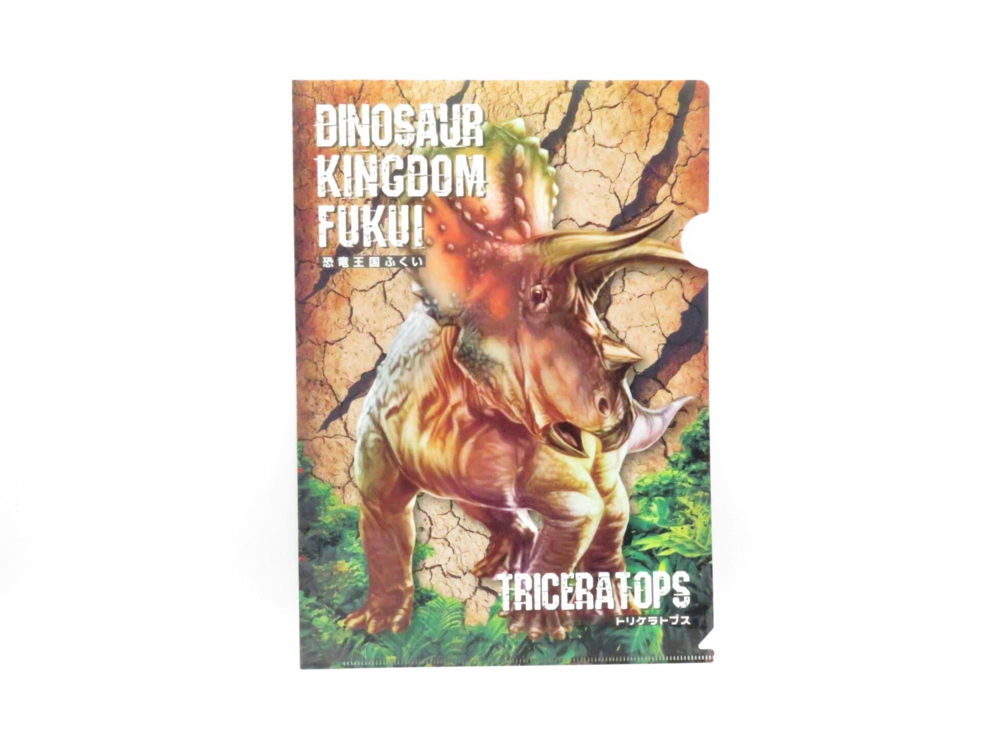 4667756f267a1d5c546a01352bf5ab