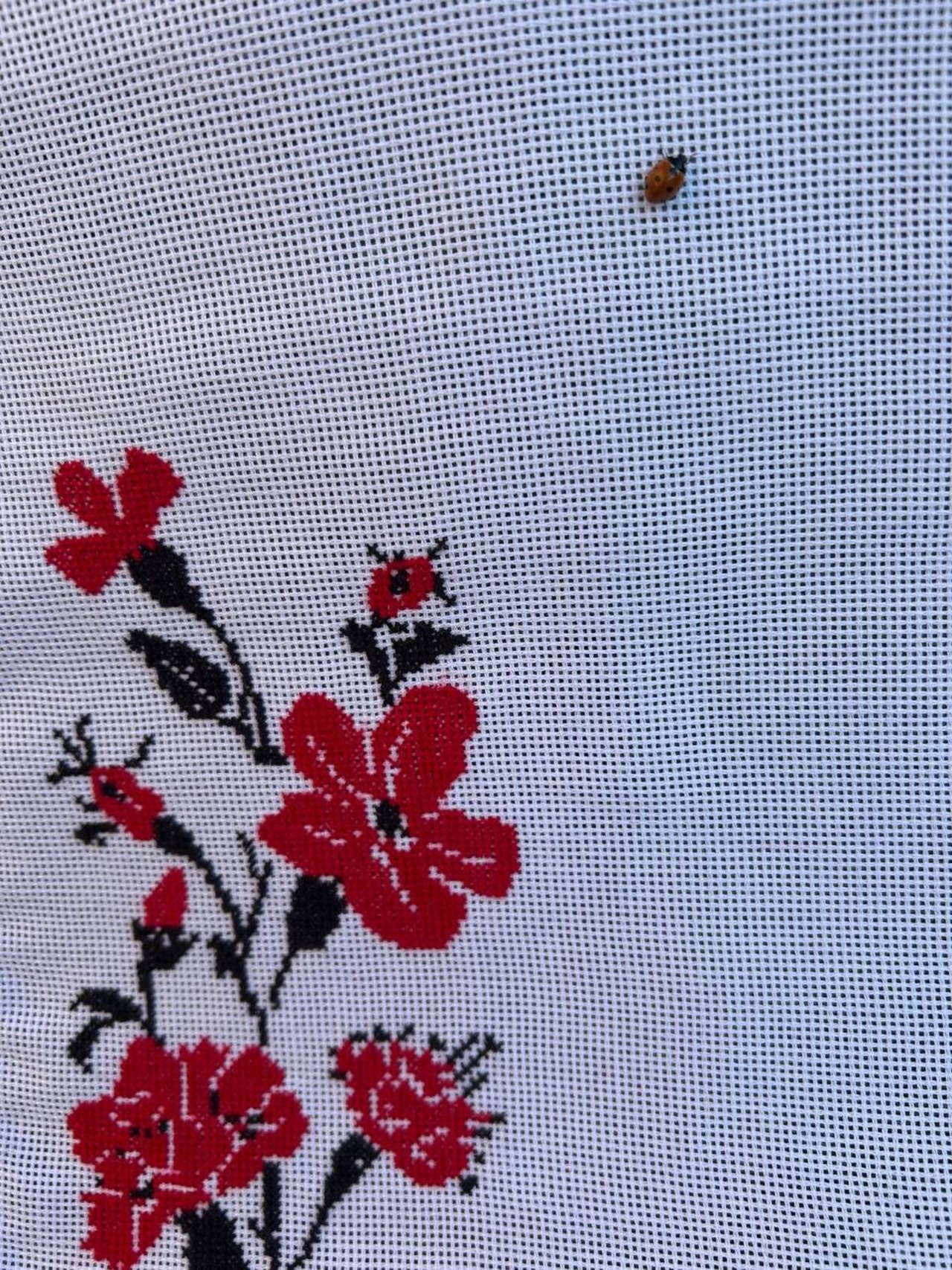 ウクライナ伝統手刺繍祭具タオル「ルシニク」 - 12
