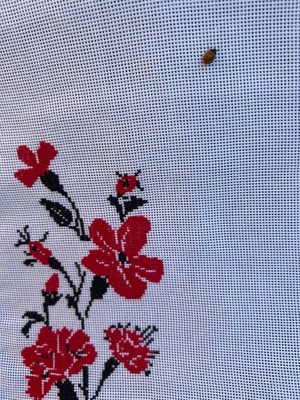 ウクライナ伝統手刺繍祭具タオル「ルシニク」