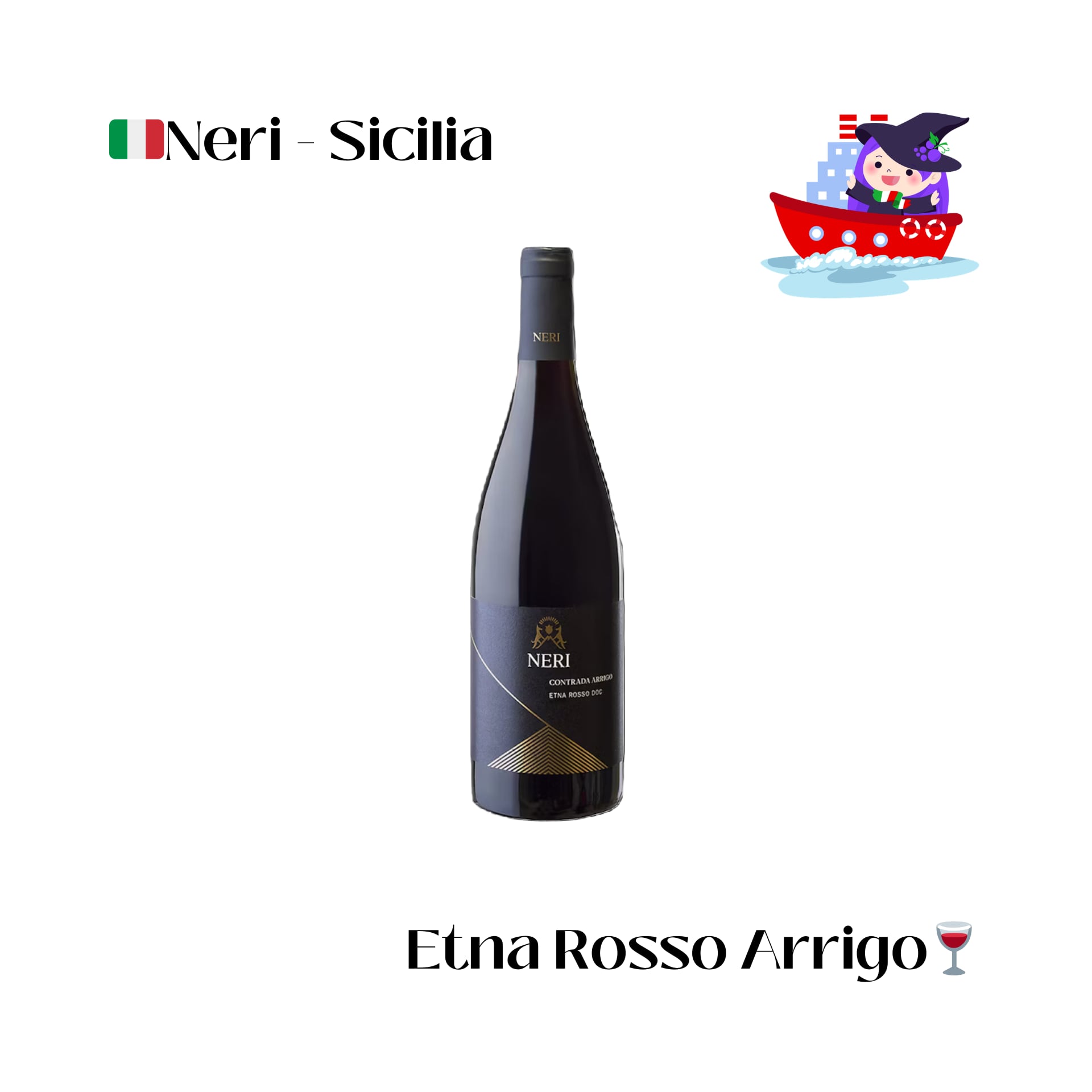 aiVino新規入港コンプリートセット24本