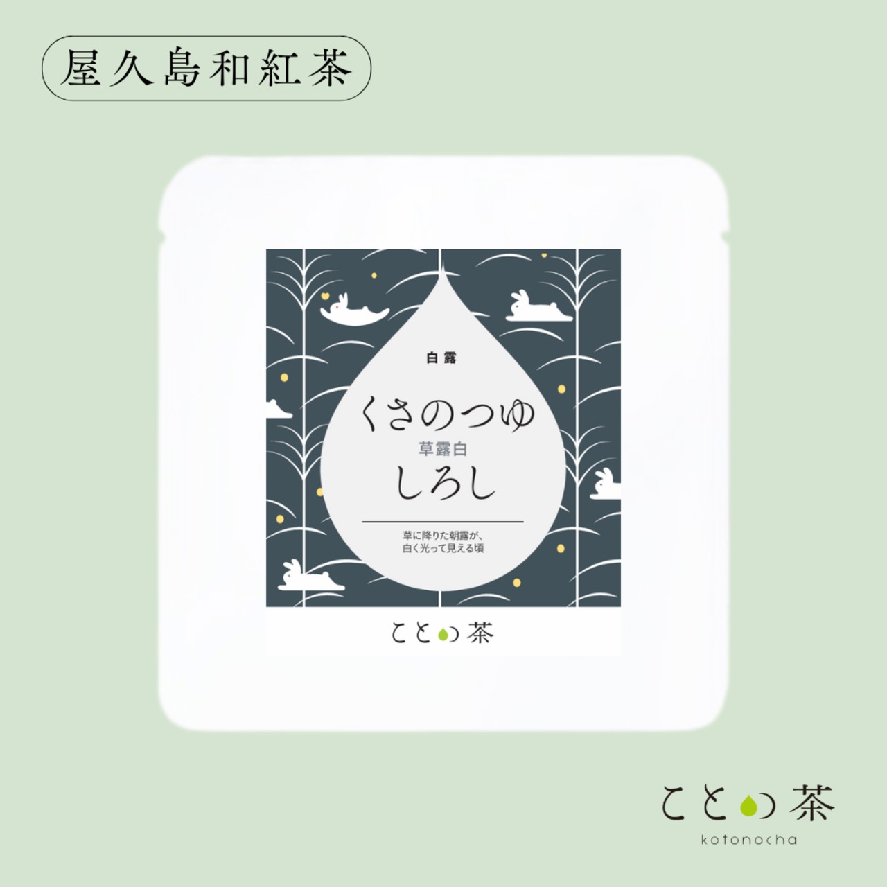 〈白露〉 ことの茶　屋久島和紅茶、摩利支、極 八女誉