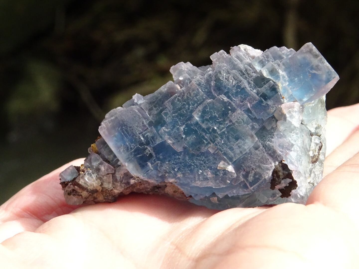 ブラックフォレスト・カラーチェンジフローライト」 パープル＆ブルー