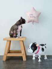 おさんぽバルーン うさぎ