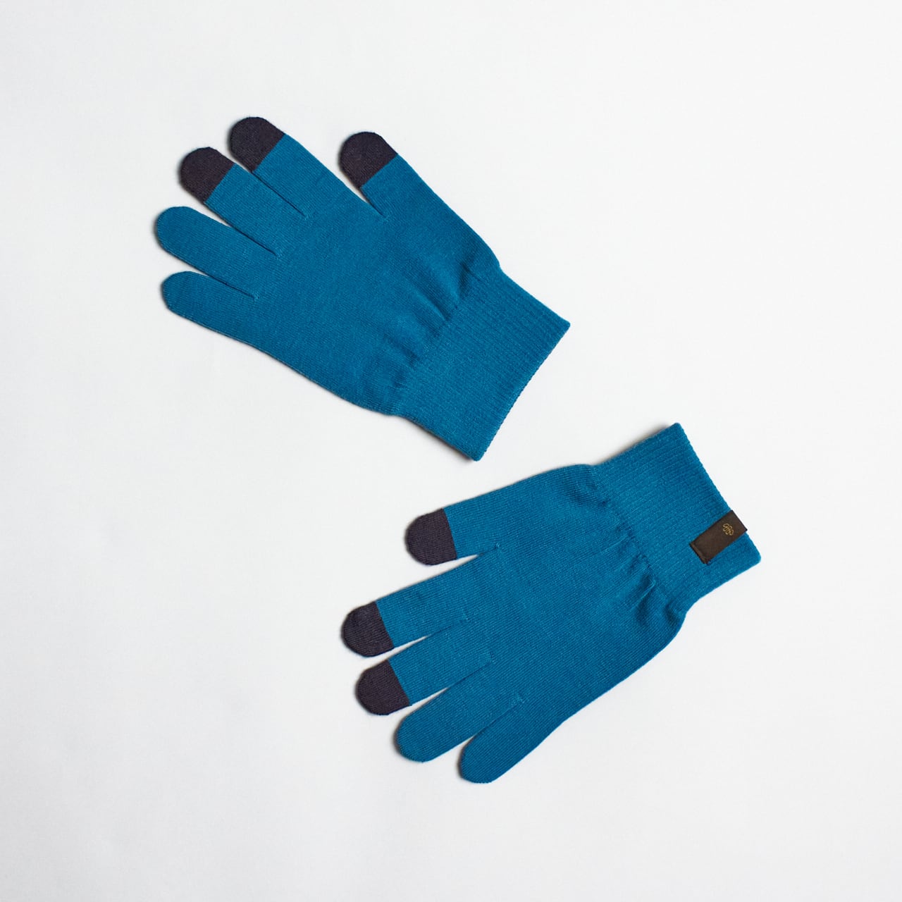 Teton Bros.（ティートンブロス）Axio Glove -Aqua Blue メンズ