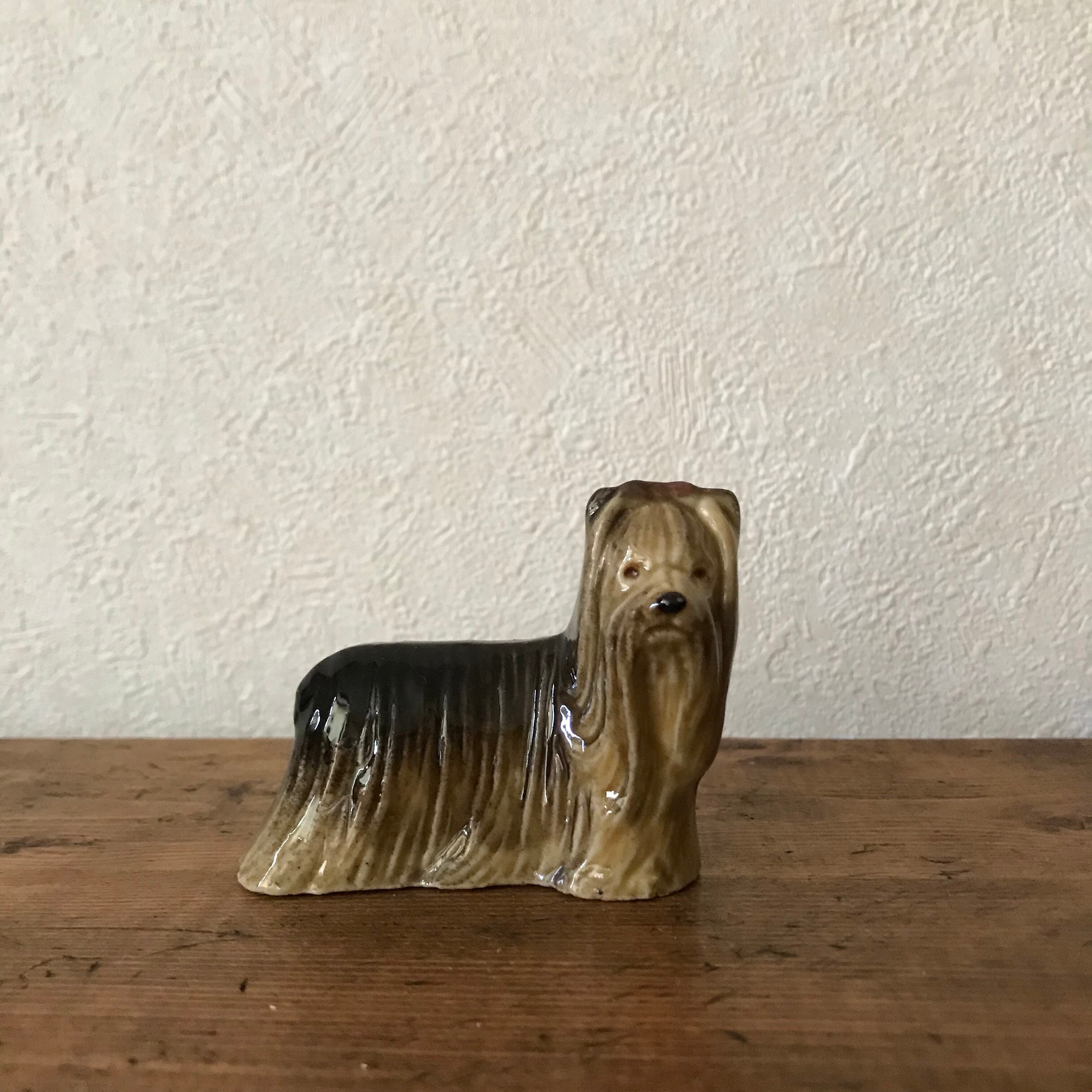 毛の長いワンコ