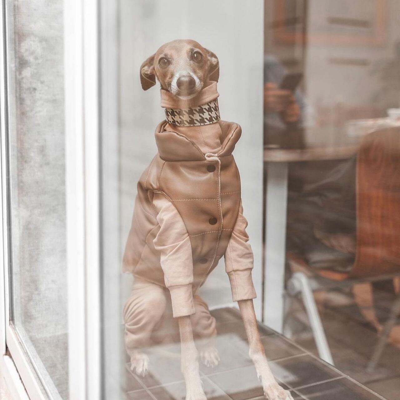 SLEEVELESS LEATHER JACKET / OVER GLAM