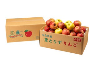訳ありの中でも特に訳あり 品種お任せ【8kg】