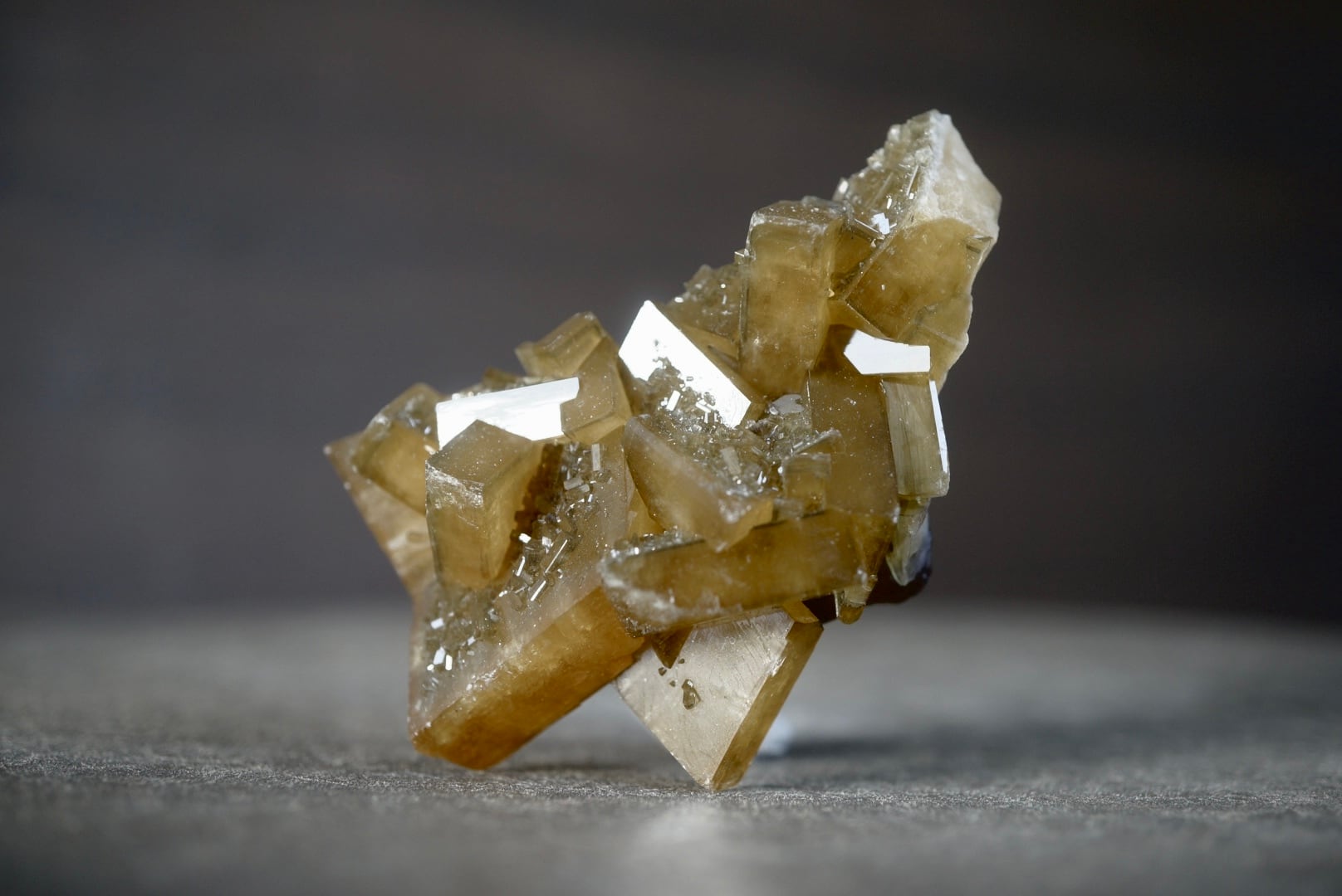 ポリクロームジャスパー Polychrome Jasper 1796 | 叙景 jokei