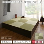 日本製 収納付きデザイン畳リビングステージ そよ風 そよかぜ 本体 ハイタイプ 60×120cm
