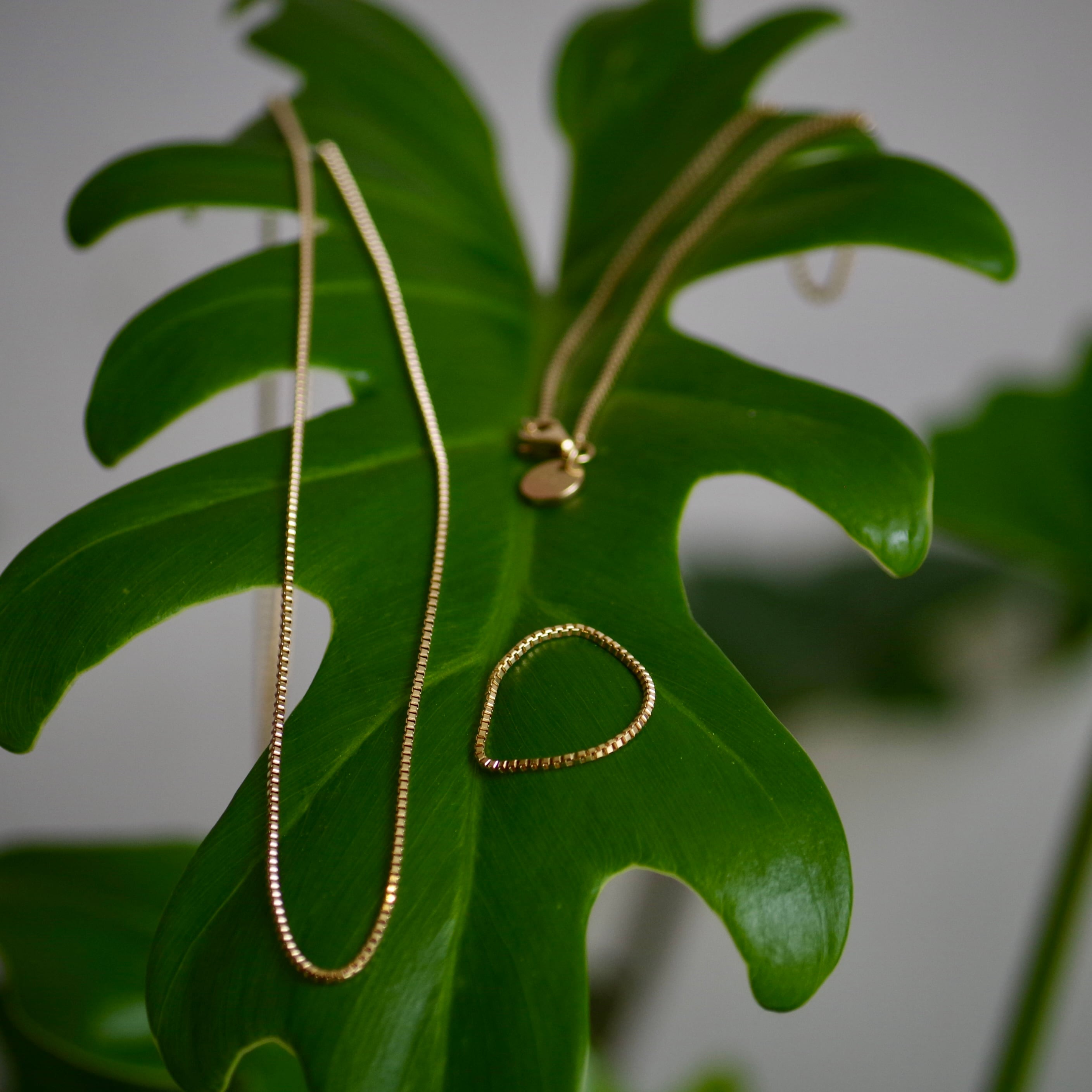 E R A. TWNKL NECKLESS 10K SL014 | 1F Store