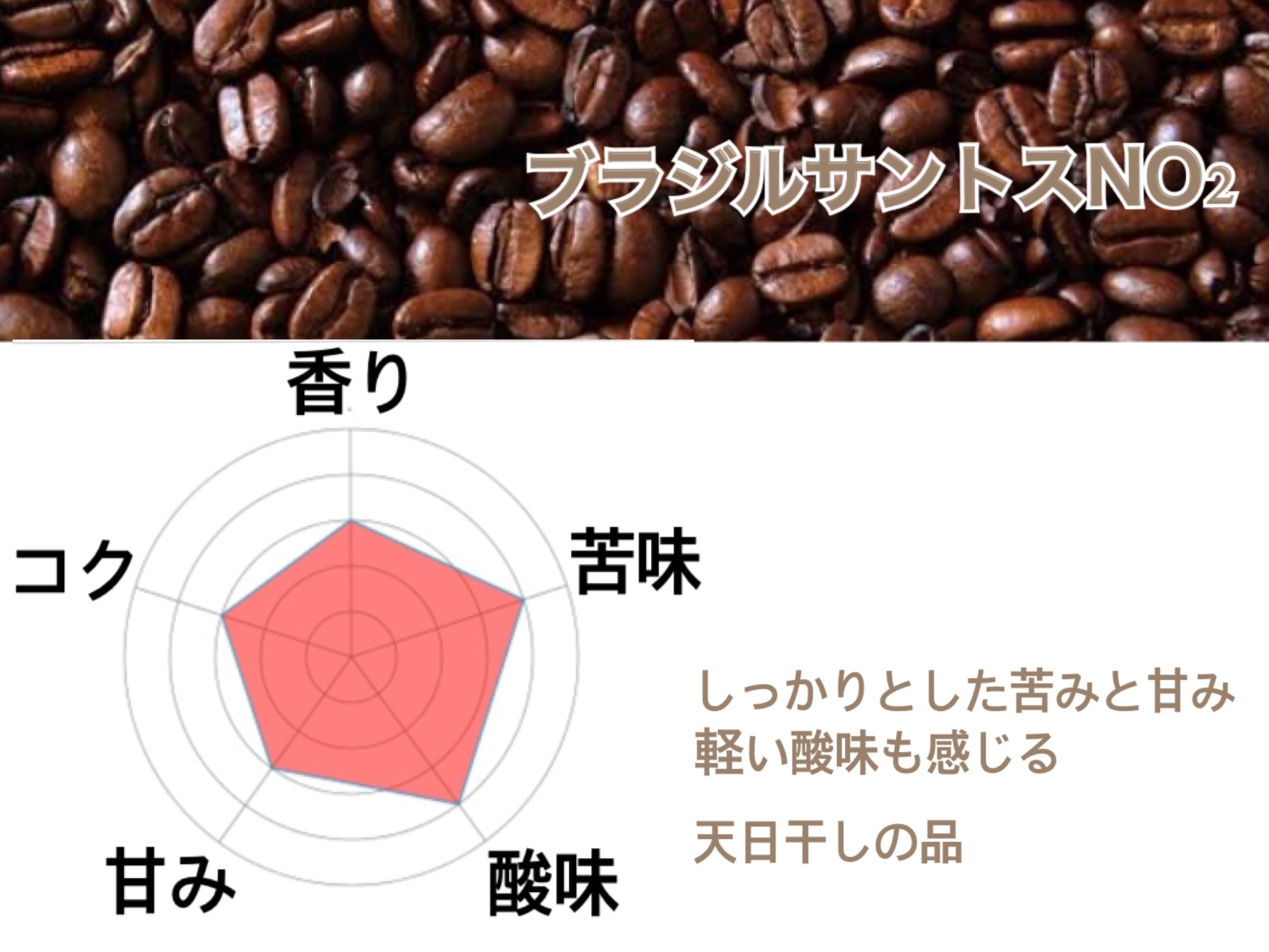 ブラジルサントスNO2(200g) | コーヒー通販 コーヒーカンタータwebshop