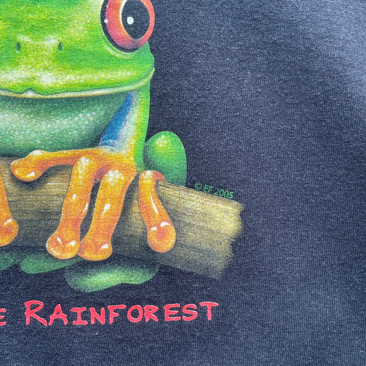 00年代 USA製 EYES OF THE RAINFOREST カエル プリント Tシャツ メンズ 