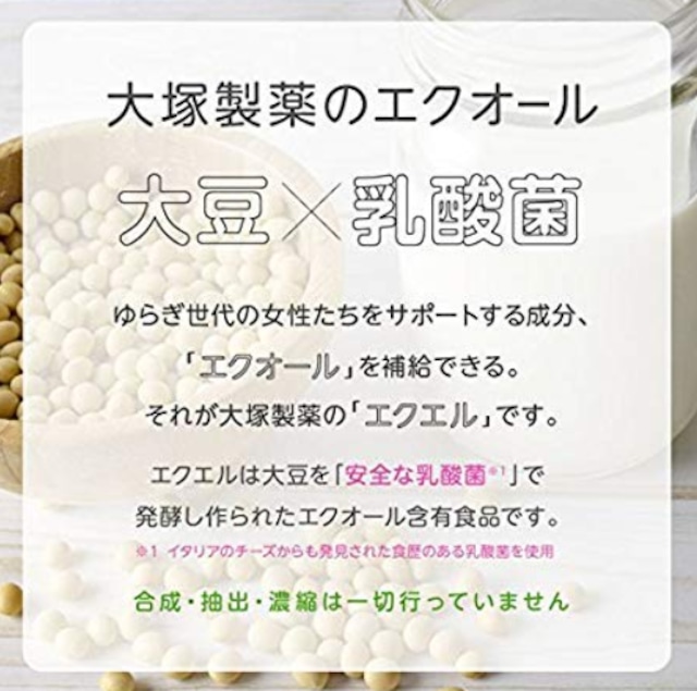 食品/飲料/酒大塚製薬エクエル - その他