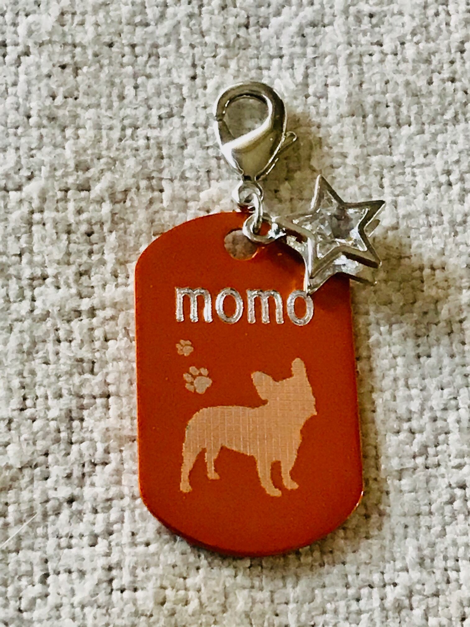 迷子札 ペット迷子タグ アルミプレート Mサイズ Delight07