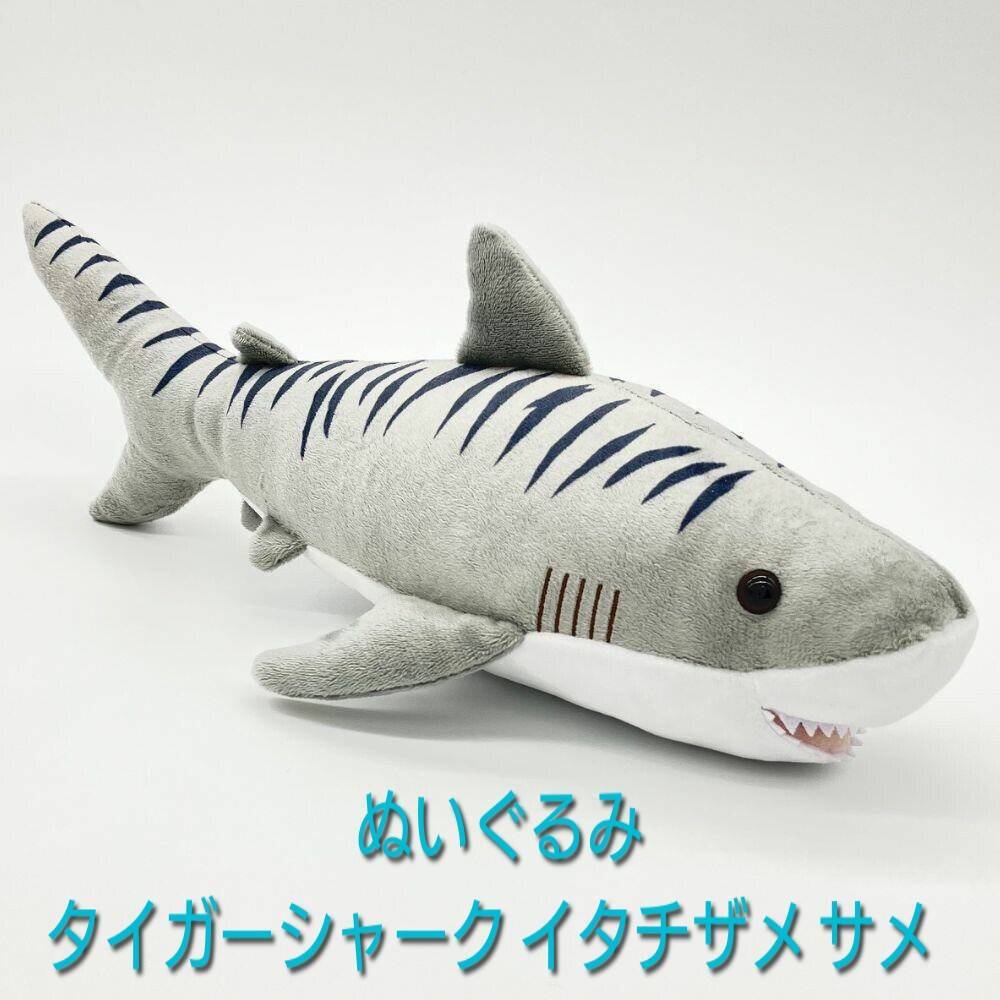 シャークス・サメグッズ | 気仙沼 シャークス